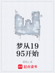 梦从1995开始
