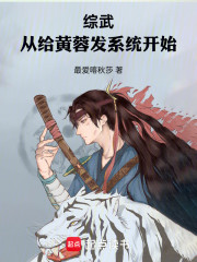 综武从给黄蓉发系统开始