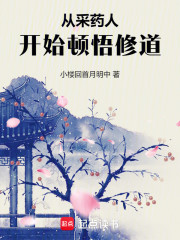 从采药人开始顿悟修道