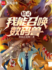 精灵：我能召唤数码兽