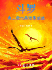 斗罗：唐三，我也是双生武魂