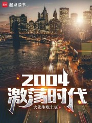 2004激荡时代