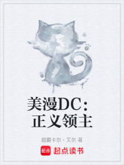 美漫DC：正义领主