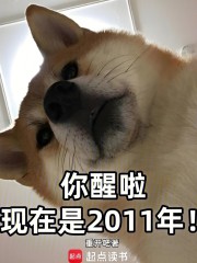 你醒啦，现在是2011年！