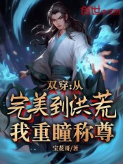 双穿：从完美到洪荒，我重瞳称尊