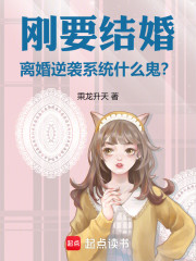 刚要结婚，离婚逆袭系统什么鬼？