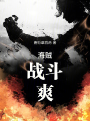 海贼，战斗，爽！