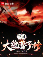 三国：大魏曹子修