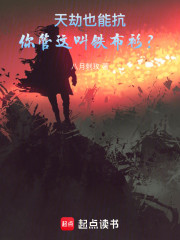 天劫也能抗，你管这叫铁布衫？