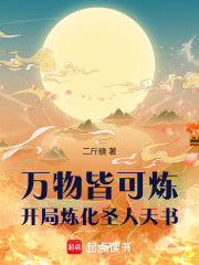 万物皆可炼，开局炼化圣人天书