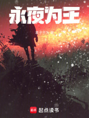 永夜为王