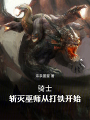 骑士：斩灭巫师从打铁开始