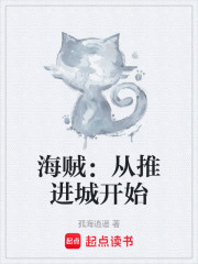 海贼：从推进城开始