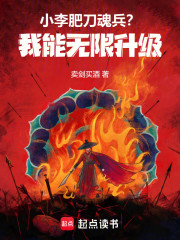 小李肥刀魂兵？我能无限升级