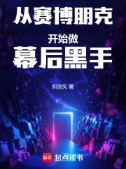 从赛博朋克开始做幕后黑手