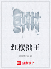 红楼拙王