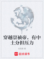 穿越崇祯帝，有中土分担压力