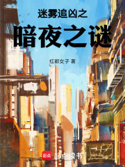 迷雾追凶之暗夜之谜