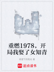 重燃1978，开局我娶了女知青