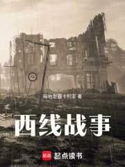 西线战事
