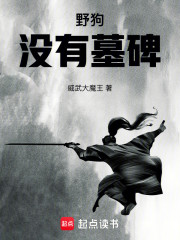 野狗没有墓碑
