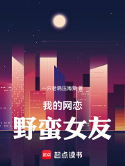 我的网恋野蛮女友