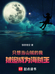 只想当山贼的我：被迫成为海贼王