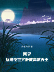 两界：从黑夜世界肝成高武天王