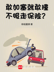 敢加塞就敢撞，不服走保险？