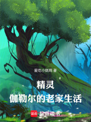 精灵：伽勒尔的老家生活