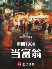 重回1980当富翁