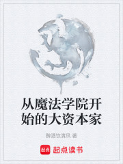 从魔法学院开始的大资本家