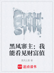 黑风寨主：我能看见财富值