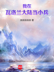 我在瓦洛兰大陆当小兵