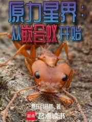 原力星界：从嵌合蚁开始
