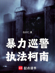 暴力巡警，执法柯南