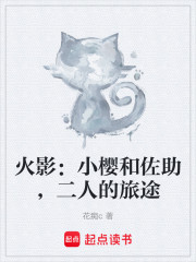 火影：小樱和佐助，二人的旅途