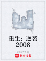 重生：逆袭2008