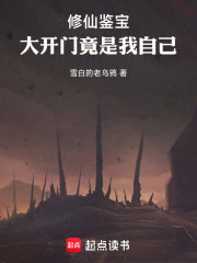 修仙鉴宝：大开门竟是我自己