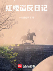 红楼造反日记