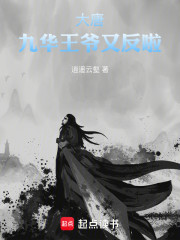 大唐：九华王爷又反啦！