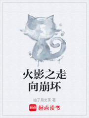 火影之走向崩坏