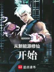 从新能源修仙开始