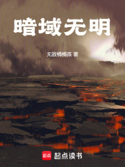 暗域无明