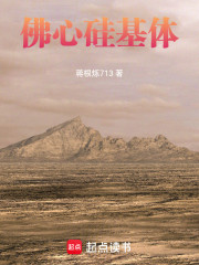 佛心硅基体