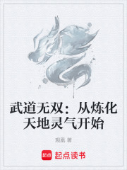 武道无双：从炼化天地灵气开始