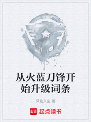 从火蓝刀锋开始升级词条