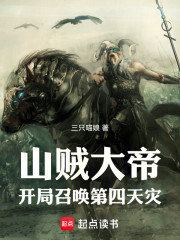 山贼大帝：开局召唤第四天灾