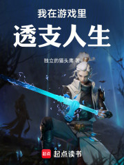 我在游戏里透支人生