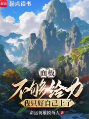 面板不够给力，我只好自己上了